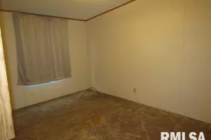 731 Bohn St, Rosiclare, IL 62982 - Photo 14