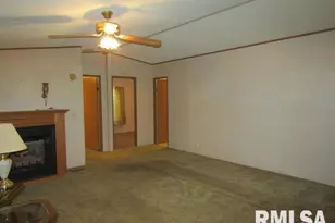 731 Bohn St, Rosiclare, IL 62982 - Photo 8