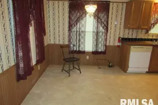 731 Bohn St, Rosiclare, IL 62982 - Photo 10