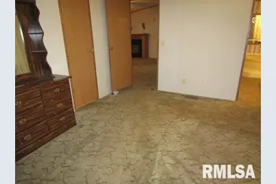 731 Bohn Street, Rosiclare, IL 62982 - Photo 16