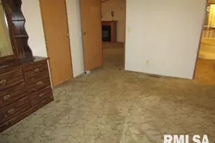 731 Bohn St, Rosiclare, IL 62982 - Photo 16