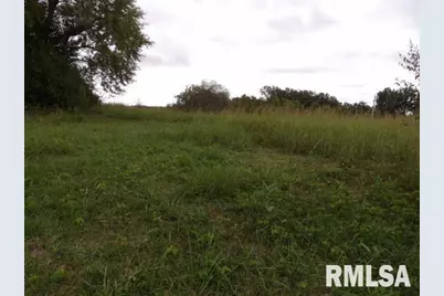 Ooo Moore Street, Eldorado, IL 62930 - Photo 6