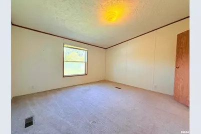 125 Beech Hollow Road, Harrisburg, IL 62946 - Photo 16