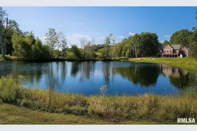 1115 Hilltop Lane, Simpson, IL 62985 - Photo 14