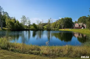 1115 Hilltop Ln, Simpson, IL 62985 - Photo 14