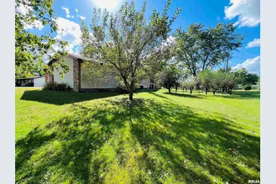 295 Country Acres Road, Eldorado, IL 62930 - Photo 6