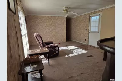 25637 Route 3 Road, Olive Branch, IL 62990 - Photo 4