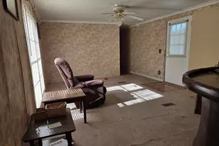 25637 Route 3 Rd, Olive Branch, IL 62990 - Photo 4