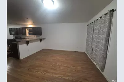 1116 S Land St Street, Harrisburg, IL 62946 - Photo 4