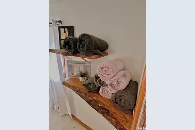 878 County Road 600 N, Sims, IL 62886 - Photo 34