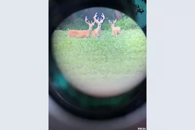 878 County Road 600 N, Sims, IL 62886 - Photo 78