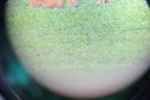 878 Co Rd 600N, Sims, IL 62886 - Photo 78