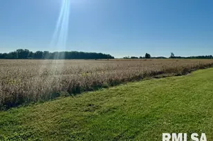 1934 County Road 315 E Rd, Xenia, IL 62899 - Photo 32