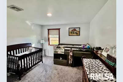 1934 County Road 315 E Road, Xenia, IL 62899 - Photo 24