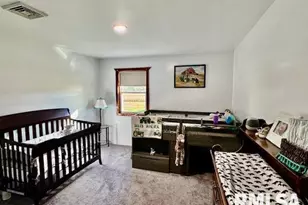 1934 County Road 315 E Rd, Xenia, IL 62899 - Photo 24