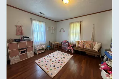 564 Pleasant Lane, Jonesboro, IL 62952 - Photo 24