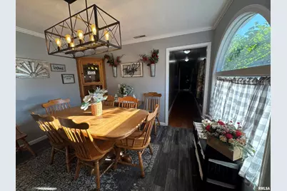 564 Pleasant Lane, Jonesboro, IL 62952 - Photo 10