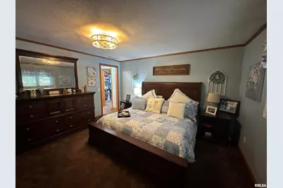 564 Pleasant Lane, Jonesboro, IL 62952 - Photo 16