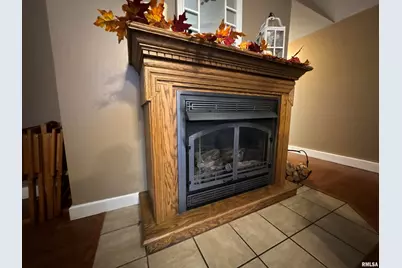 564 Pleasant Lane, Jonesboro, IL 62952 - Photo 14