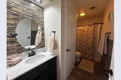 564 Pleasant Lane, Jonesboro, IL 62952 - Photo 22