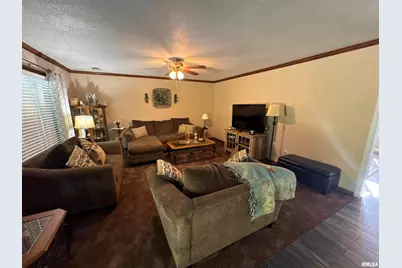 564 Pleasant Lane, Jonesboro, IL 62952 - Photo 20