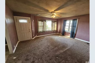 233 N US Hwy 45, Cisne, IL 62823 - Photo 12