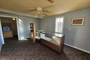 233 N US Hwy 45, Cisne, IL 62823 - Photo 20