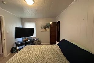 206 W Homer Ave Ave, Harrisburg, IL 62946 - Photo 26