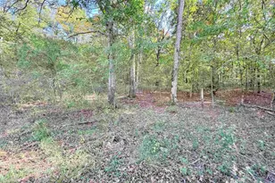 8375 Hwy 145 S, Harrisburg, IL 62946 - Photo 16