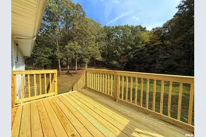 8375 Highway 145 S, Harrisburg, IL 62946 - Photo 34