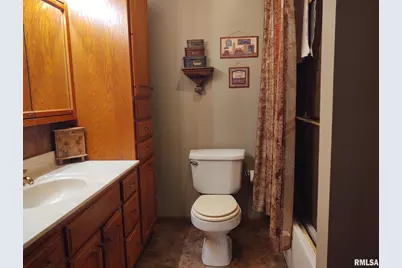 901 Locust Street, Vienna, IL 62995 - Photo 24