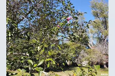 901 Locust Street, Vienna, IL 62995 - Photo 4