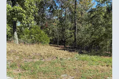 000 Clifty Lane, Orangeville, IL 62939 - Photo 10