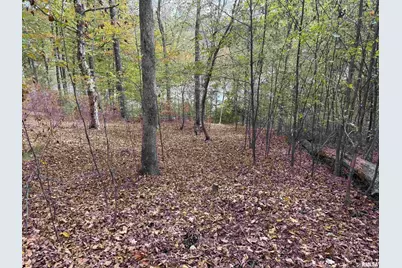 000 Clifty Lane, Orangeville, IL 62939 - Photo 14