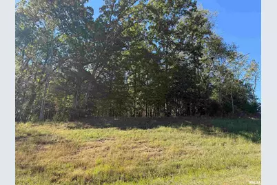 000 Clifty Lane, Orangeville, IL 62939 - Photo 12