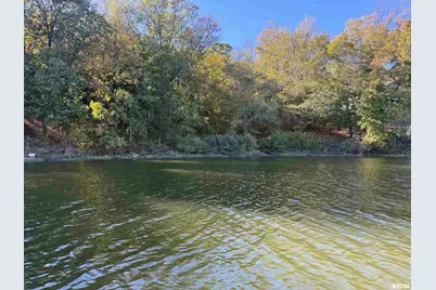 000 Clifty Lane, Orangeville, IL 62939 - Photo 4