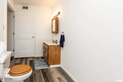 755 S Lakeshore Drive, Orangeville, IL 62939 - Photo 32