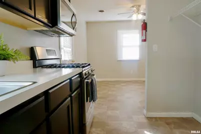 310 N 4th Street, Earlville, IL 62932 - Photo 4