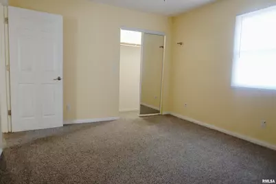 310 N 4th Street, Earlville, IL 62932 - Photo 12