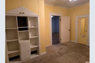 1028 S Roosevelt Street, Harrisburg, IL 62946 - Photo 16