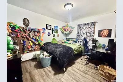 109 E Galaxy Drive, Chicago, IL 62898 - Photo 22