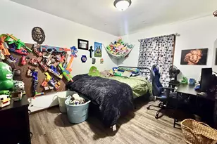 109 E Galaxy Dr, Chicago, IL 62898 - Photo 22