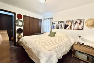 109 E Galaxy Dr, Chicago, IL 62898 - Photo 16