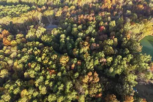 718 Karbers Ridge Rd, Elizabethtown, IL 62931 - Photo 60