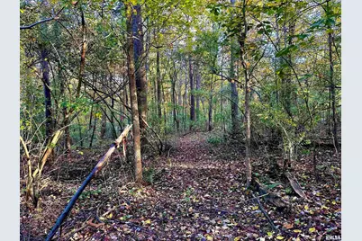 718 Karbers Ridge Road, Elizabethtown, IL 62931 - Photo 52