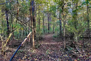 718 Karbers Ridge Rd, Elizabethtown, IL 62931 - Photo 52