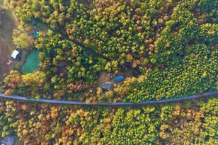 718 Karbers Ridge Rd, Elizabethtown, IL 62931 - Photo 66