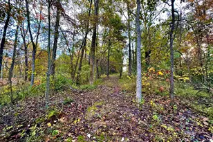 718 Karbers Ridge Rd, Elizabethtown, IL 62931 - Photo 44