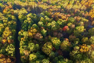 718 Karbers Ridge Rd, Elizabethtown, IL 62931 - Photo 68