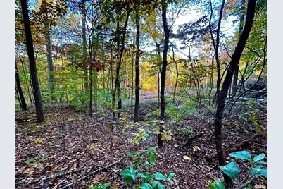 718 Karbers Ridge Road, Elizabethtown, IL 62931 - Photo 48